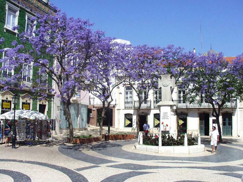 Casa Silvia Apartment Lagos Bagian luar foto